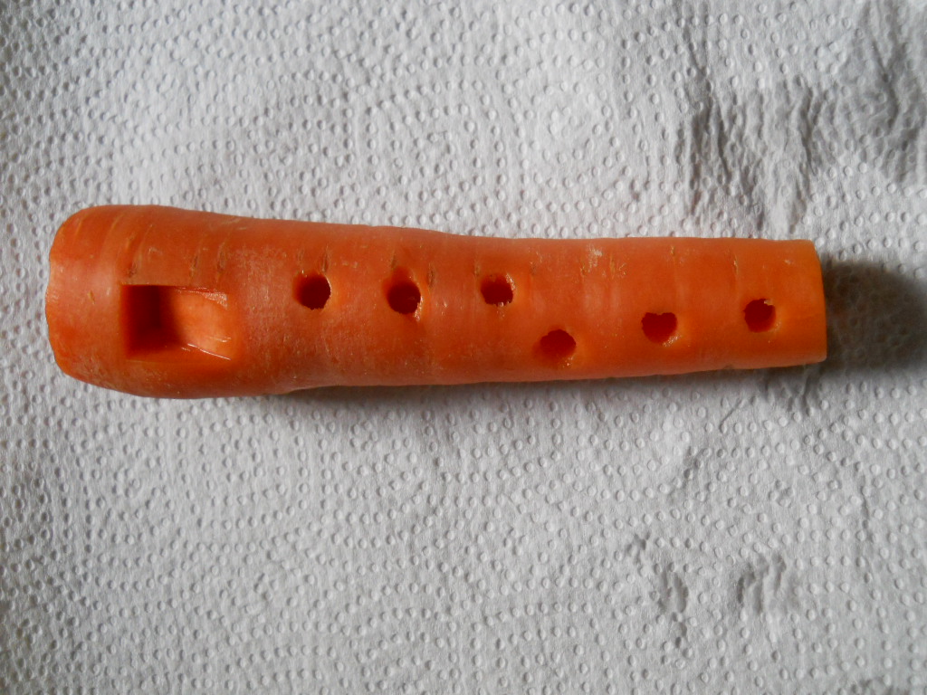 Лепка музыкальные инструменты. Флейта из моркови. Музыкальные инструменты из овощей. Музыкальные инструменты из морковки. Дудочка из моркови.
