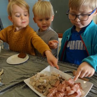 Táp og fjör - Fósturlandsins freyjur