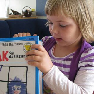 Yfir kaldan eyðisand