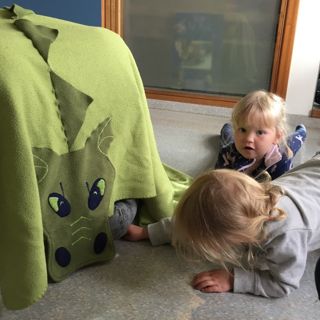 Hver er inni í krókódíl?