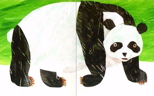 Pandabjörn, pandabjörn